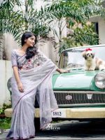 Grey banarasi organza saree