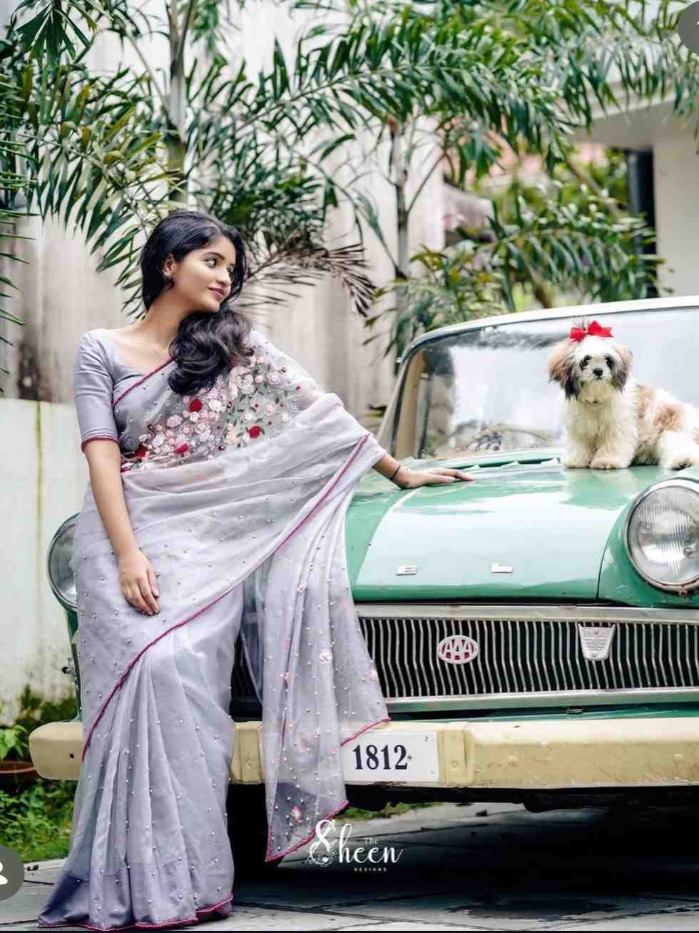4DAD038A-9813-42DE-BB39-60FB9F2C596B Grey banarasi organza saree - Image 1