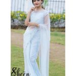 Pastel blue net saree