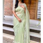 Green organza saree