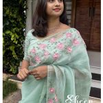 Aquagreen organza saree