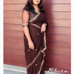 Brown net saree